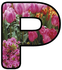 Dekobuchstaben-Tulpe_P.jpg